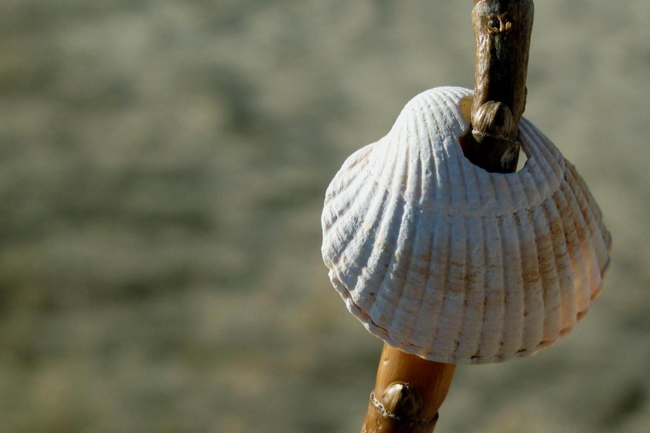 Haus Am Meer Scharbeutz Eksteriør billede